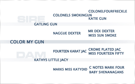 pedigree-color-my-gun