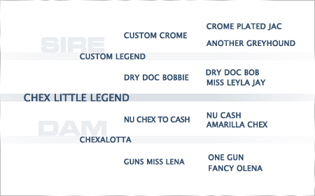 pedigree-chex-little-legend
