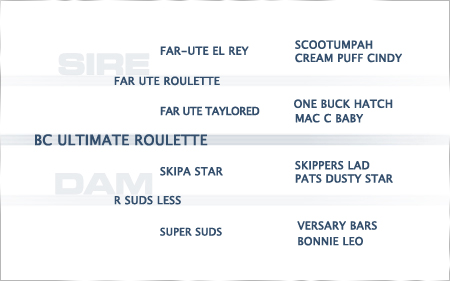 pedigree-bc-ultimate-roulette