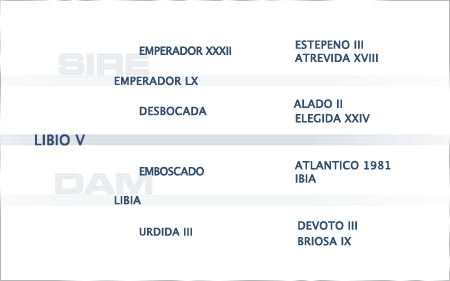 pedigree-libio-v