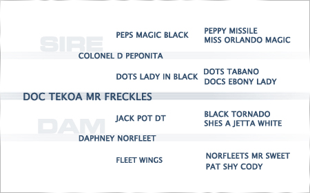 2020-pedigree_doc-tekoa-mr-freckles