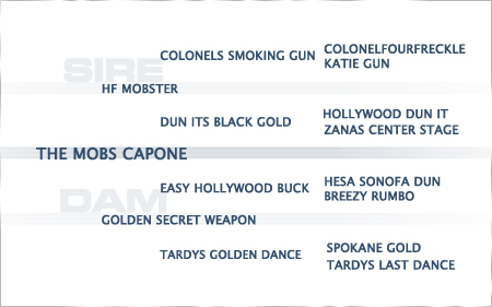 2020-pedigree_the-mobs-capone