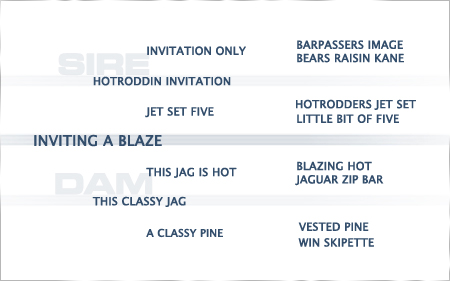 2021-pedigree-inviting-a-blaze