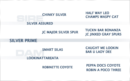 2022-pedigree-silver-prime