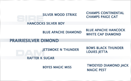 2022-pedigree-prairiesilver-dimond