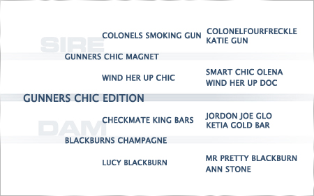 2024-pedigree-gunners-chic-edition